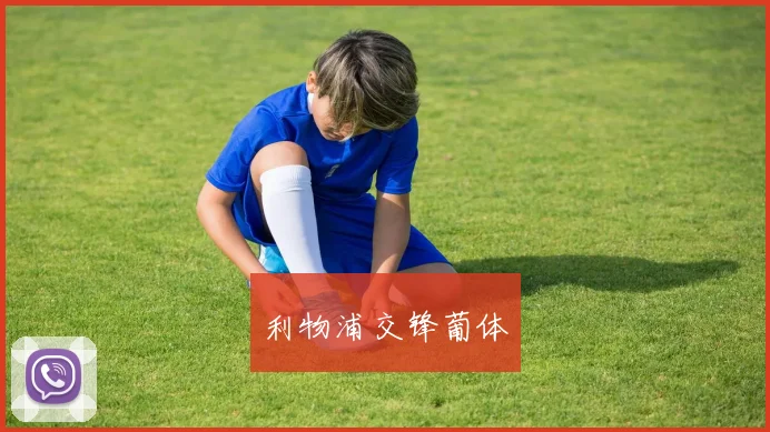 利物浦交锋葡体