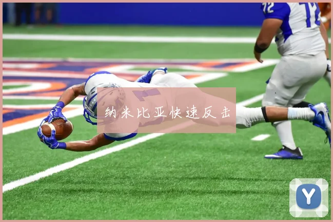 纳米比亚快速反击