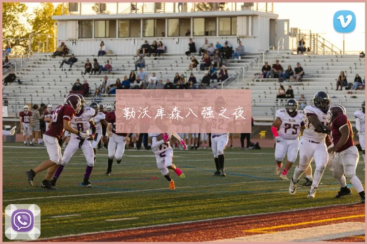 勒沃库森八强之夜