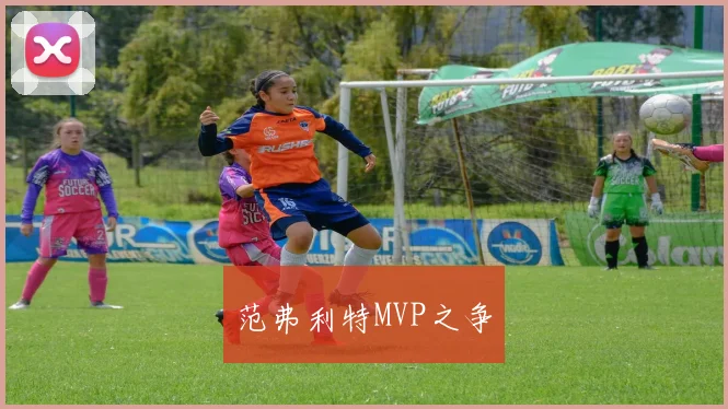 范弗利特MVP之争