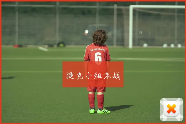 捷克小组末战