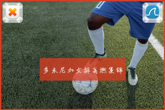 多米尼加女排高燃集锦