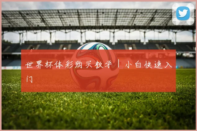 世界杯体彩购买教学｜小白快速入门
