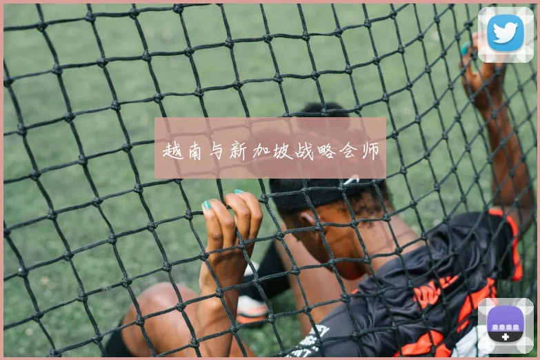 越南与新加坡战略会师