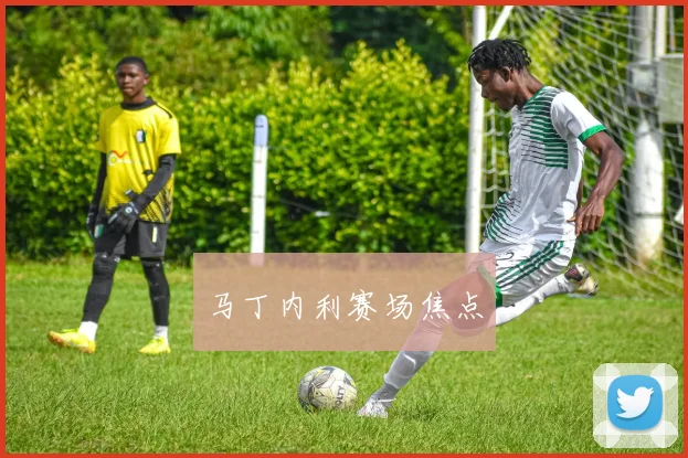马丁内利赛场焦点
