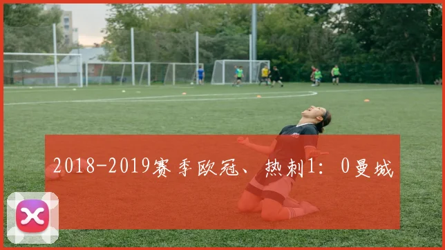 2018-2019赛季欧冠、热刺1：0曼城