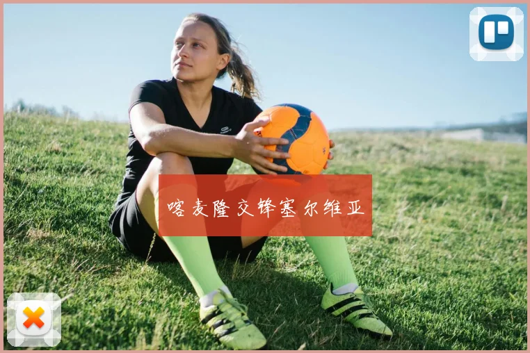 喀麦隆交锋塞尔维亚