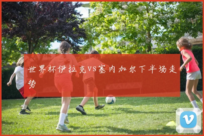 世界杯伊拉克vs塞内加尔下半场走势