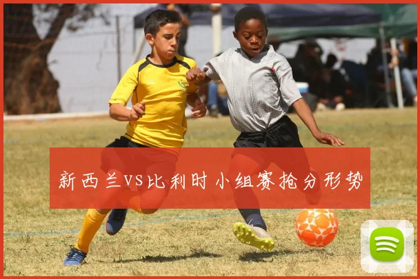 新西兰vs比利时小组赛抢分形势
