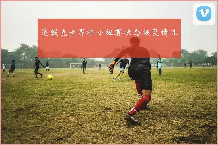 范戴克世界杯小组赛状态恢复情况