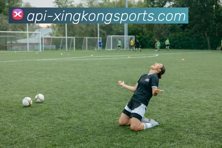 关于XingkongSports