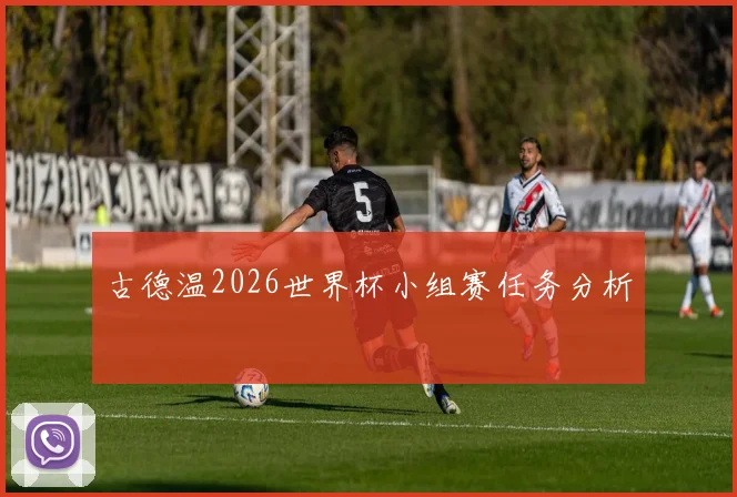 古德温2026世界杯小组赛任务分析
