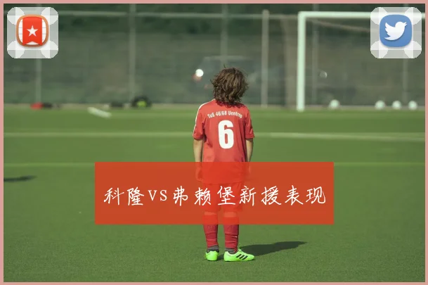 科隆vs弗赖堡新援表现