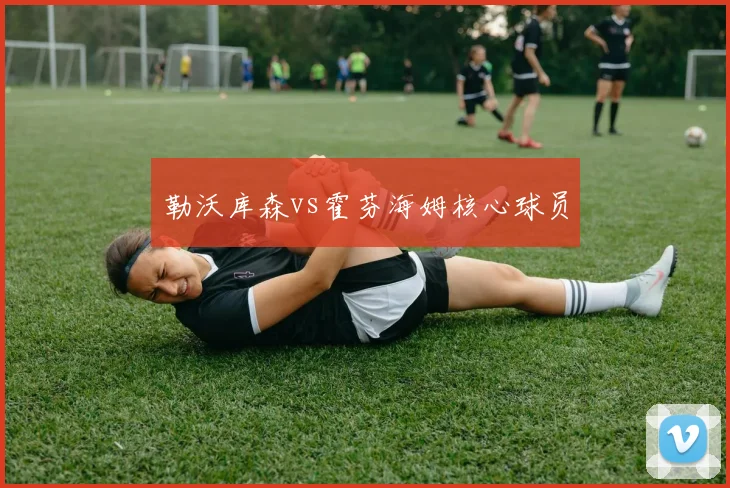 勒沃库森vs霍芬海姆核心球员
